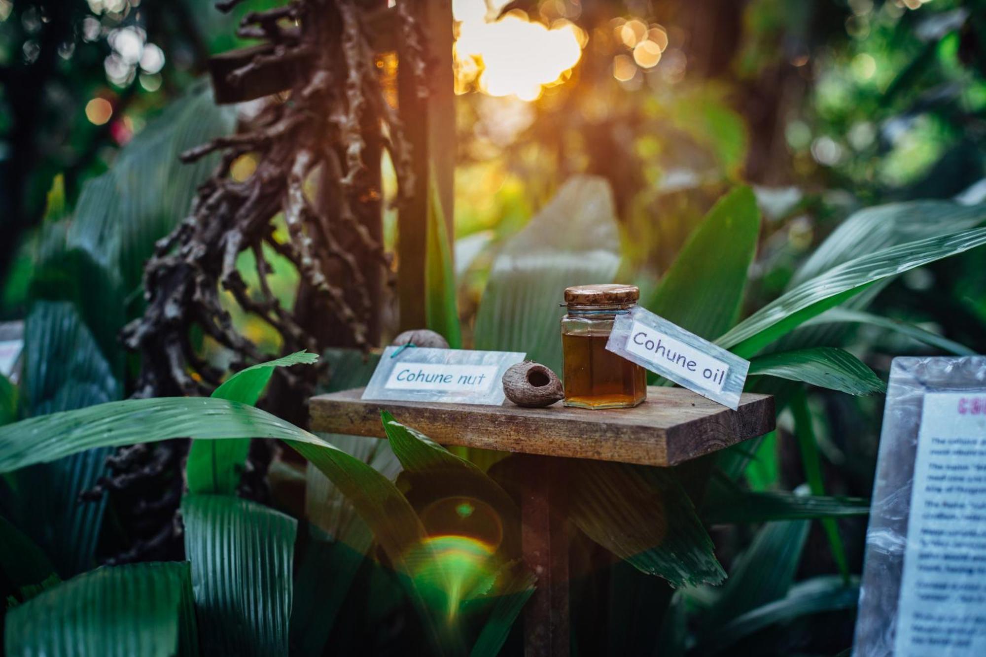 Ian Anderson Caves Branch Jungle Lodge Белмопан Екстериор снимка